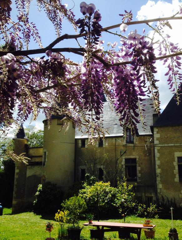 Chateau St.Gaultier Saint-Gaultier Kültér fotó
